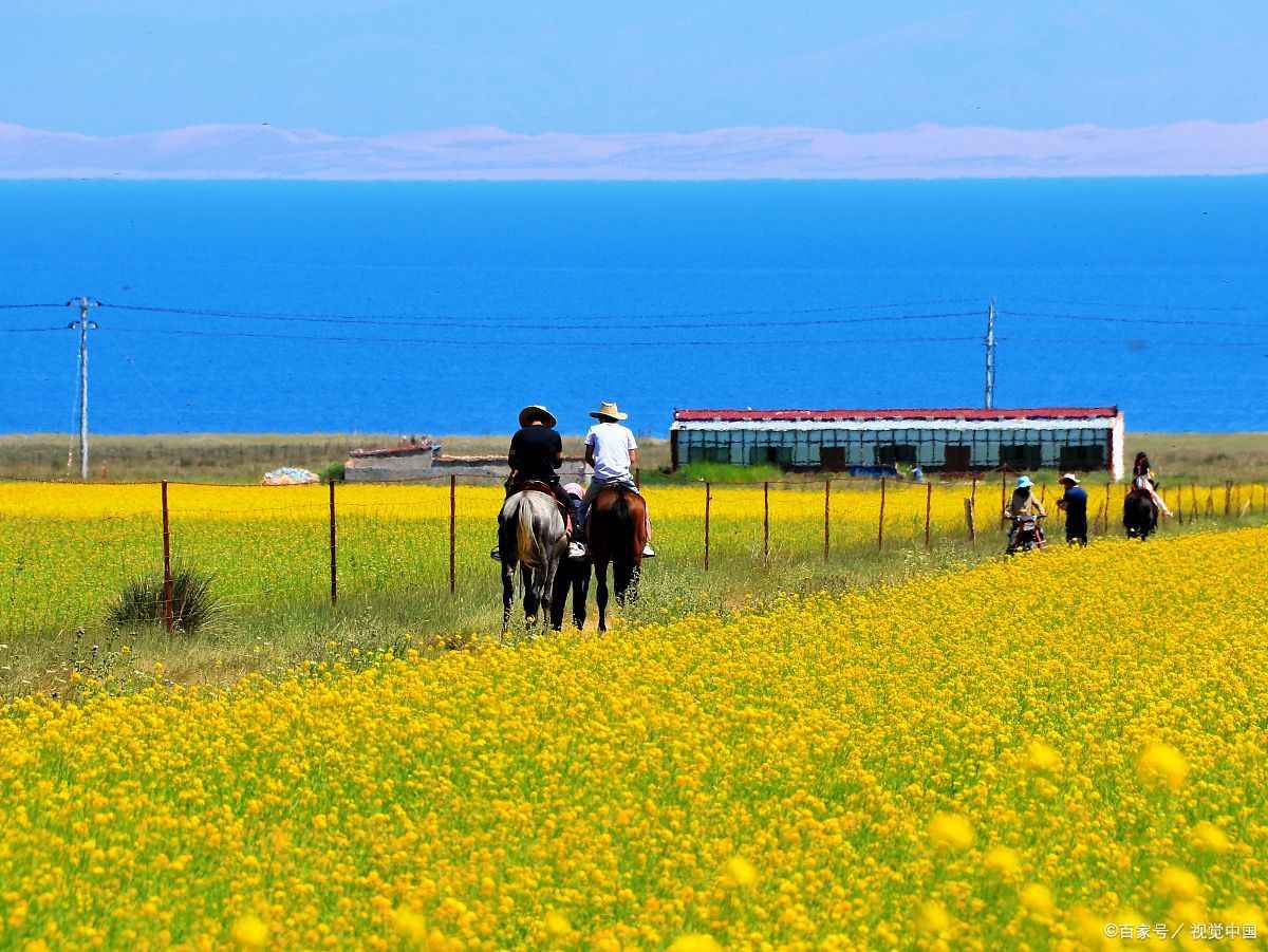 青海旅游网包车